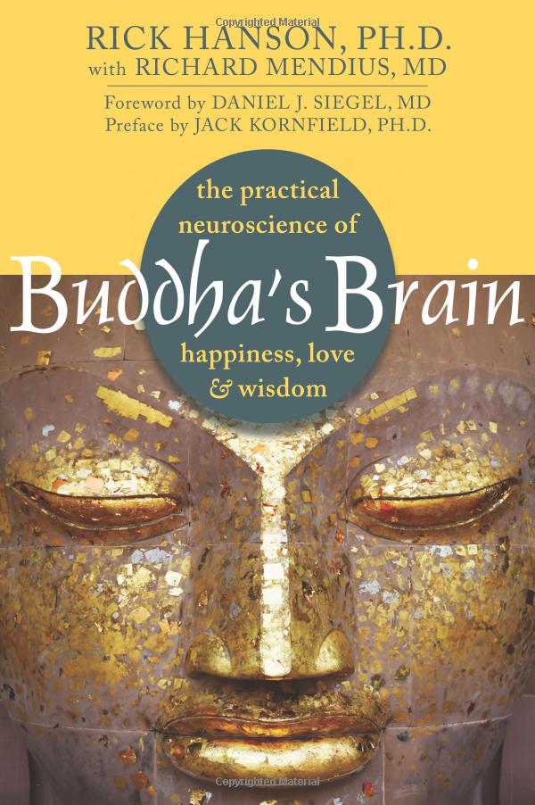 Review of Buddha’s Brain: The Practical Neuroscience of Happiness, Love, and Wisdom by Rick Hanson